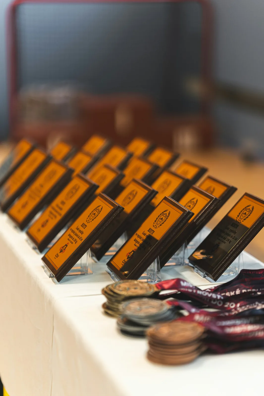 Remise de médailles